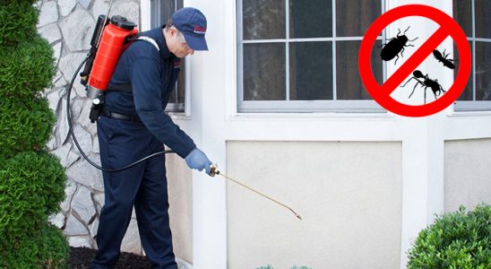 İnebolu Hamam Böceği İlaçlama böcek ilaçlama ve haşere kontrolü — ilaclama-tr.com